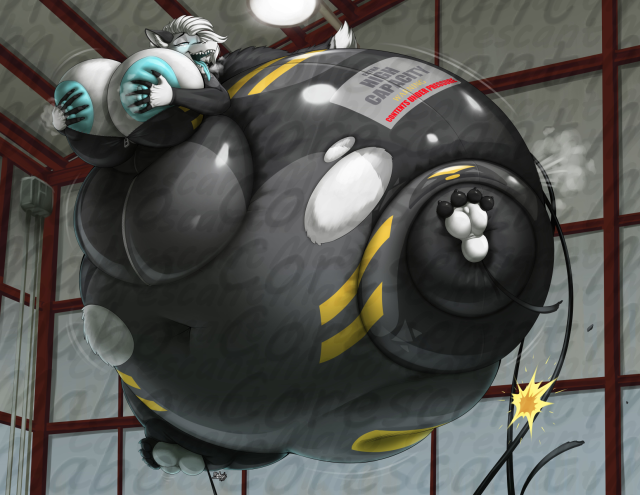 aki muscleblimp